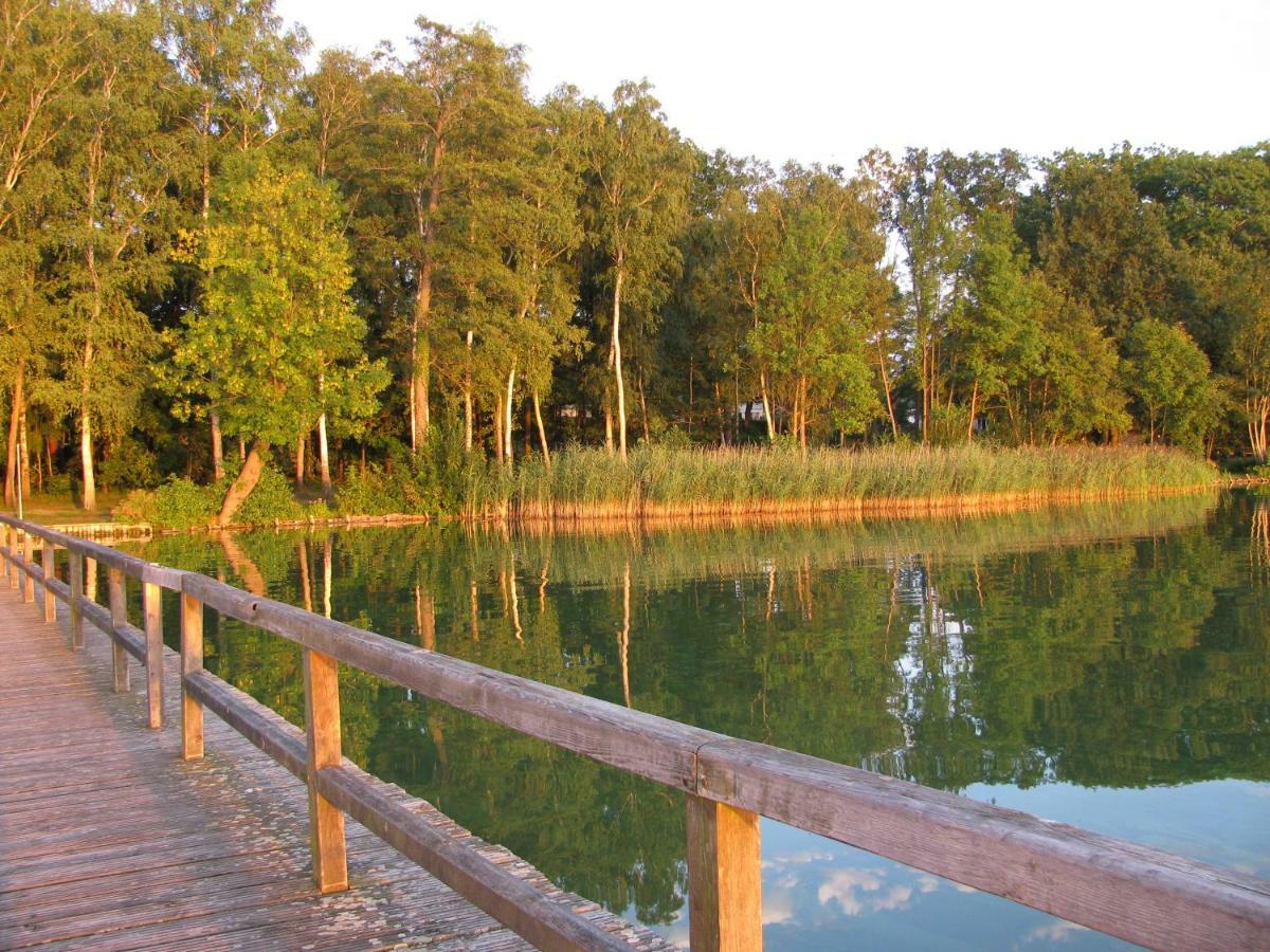 Seeblick III Bad Saarow Zewnętrze zdjęcie