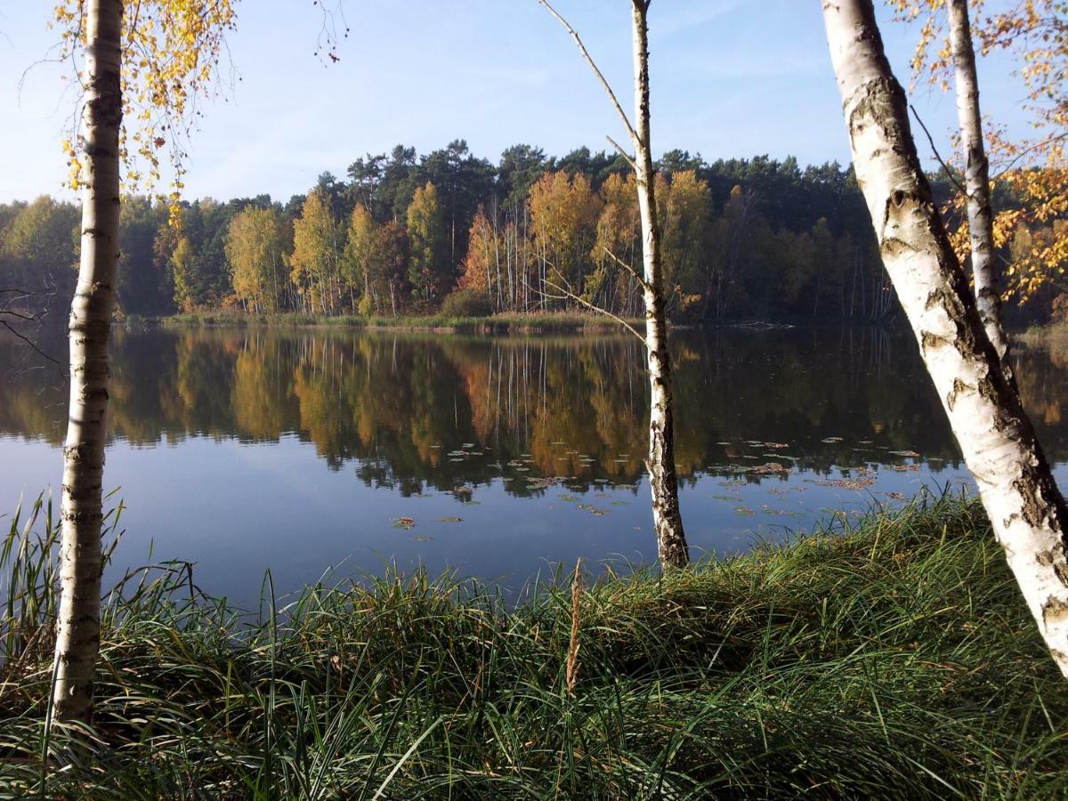 Seeblick III Bad Saarow Zewnętrze zdjęcie